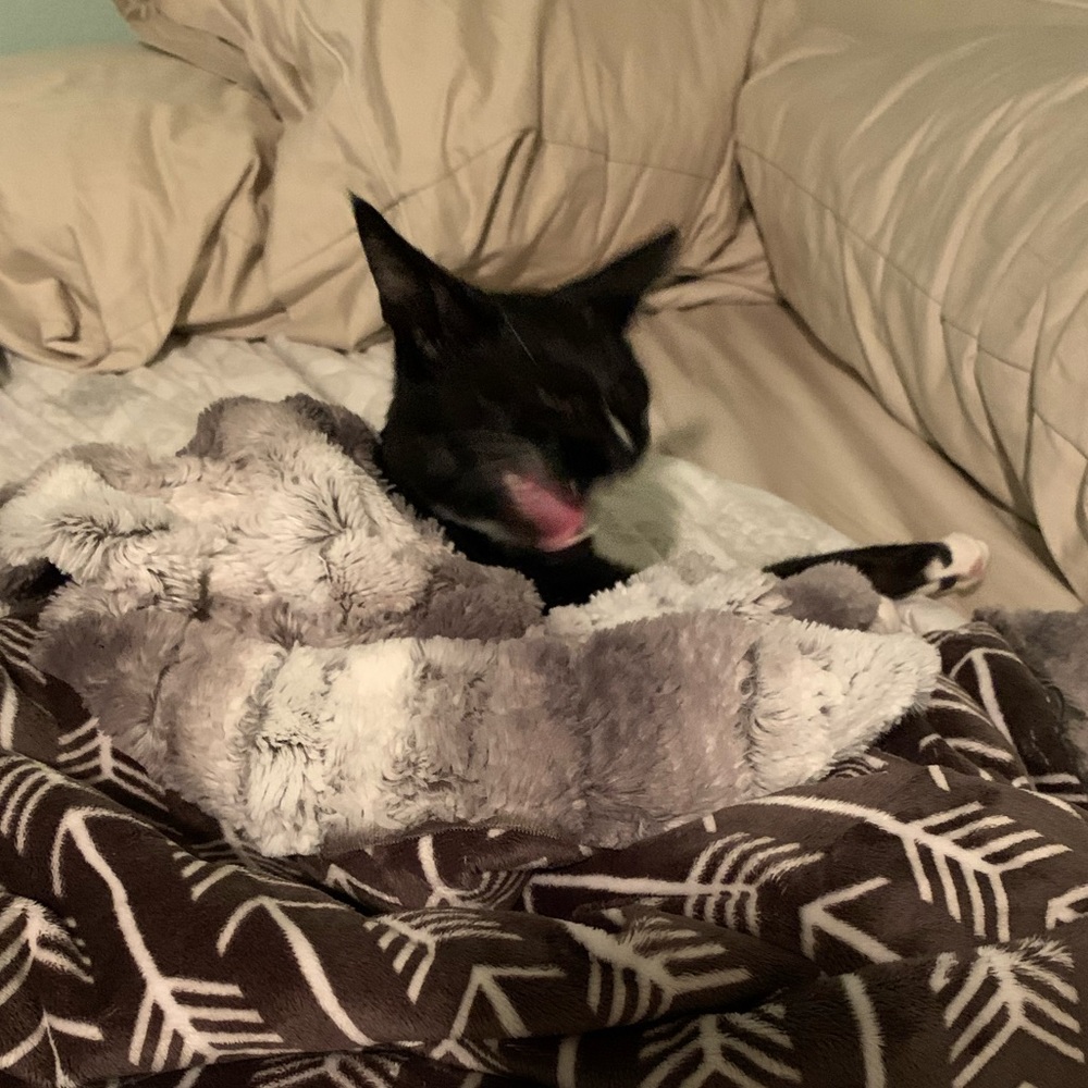 Meet your Posher, Leah